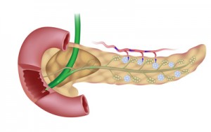 bauchspeicheldruese